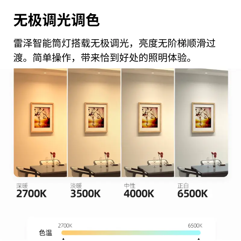 智能筒灯双色主图5.webp