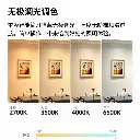 智能筒灯双色主图5.webp